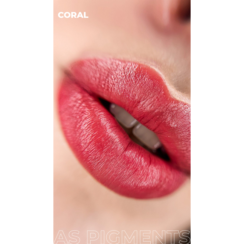 AS COMPANY Concentrate Set (AS Pigments) 6pcs/6ml - BVShop