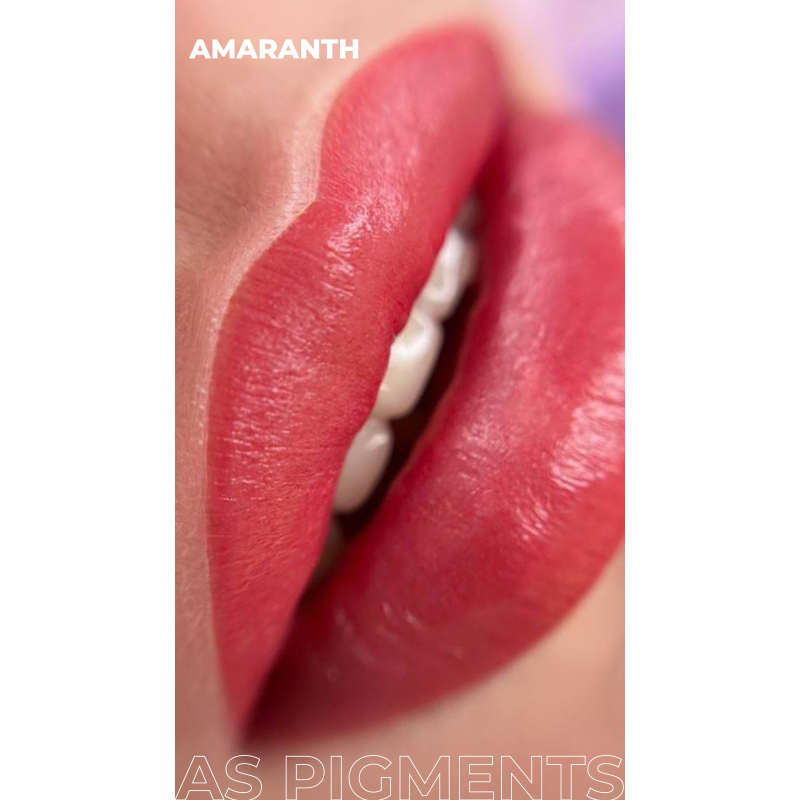 AS COMPANY Concentrate Set (AS Pigments) 6pcs/6ml - BVShop