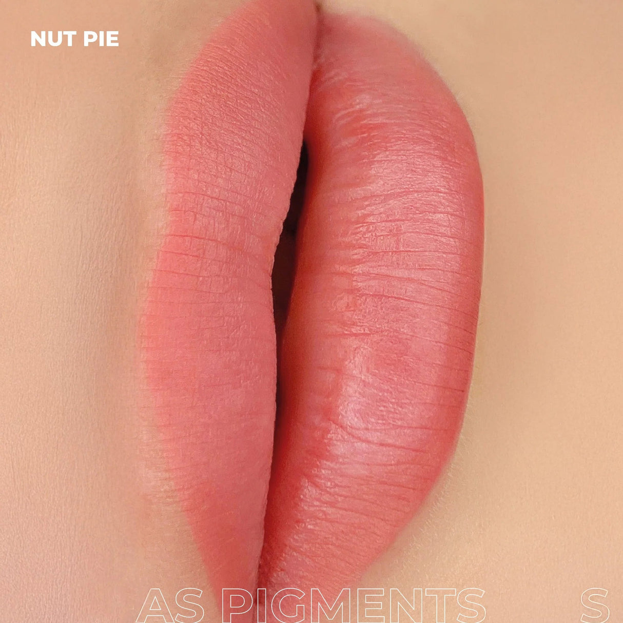 AS COMPANY Nut Pie (AS Pigments) 6/12ml - BVShop
