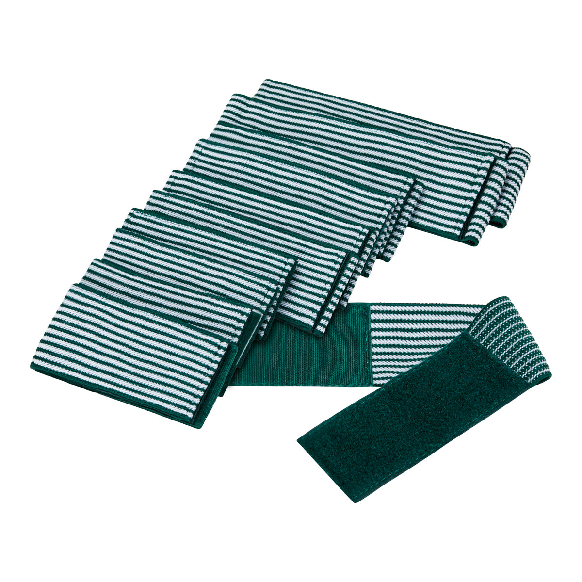 Elegante Platinum T9116 electrostimulation device - BVShop