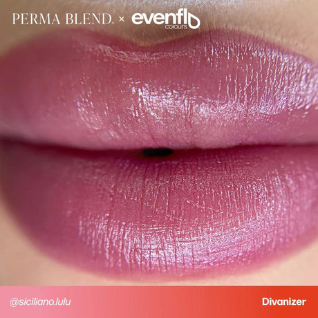 Perma Blend Evenflo Divanizer - BVShop