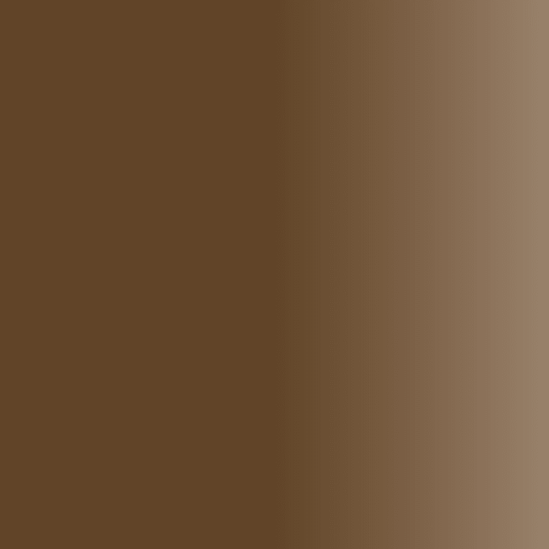 Swiss Color 204 Hazel Brown Eyebrow Pigment - BVShop