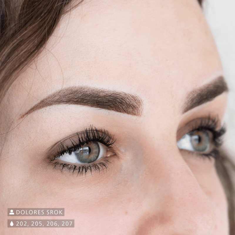 Swiss Color 205 Dark Brown Eyebrow Pigment - BVShop