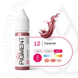 The Pigment 12 Caramel Pigments (15ml)