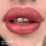 Пигмент удовлетворения Podium X Elena Nikora