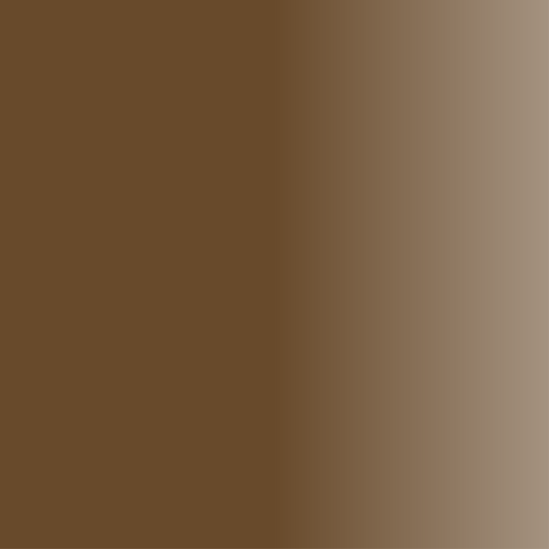 Swiss Color 713 Blondais Brūnais Derma Pigments