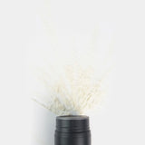 Nanogen matu biezināšanas šķiedra balta