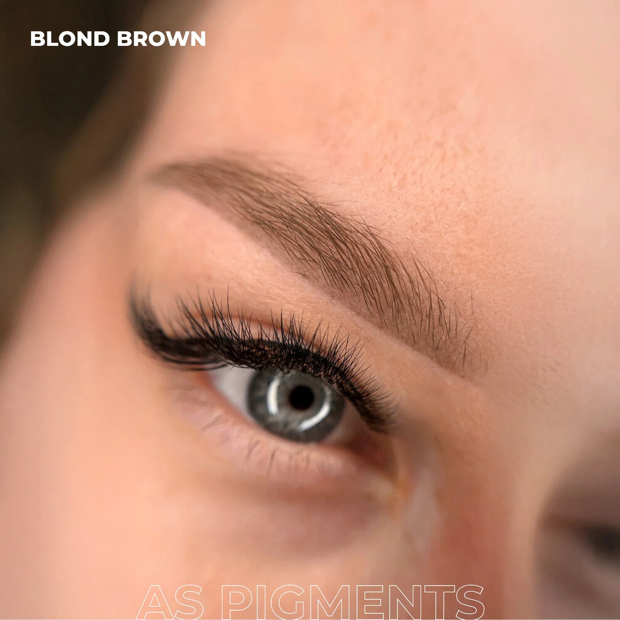 AS COMPANY Blond Brown (AS Pigmenti) 6/12ml