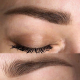 AS COMPANY Bāze (AS Pigmenti) 6/12ml