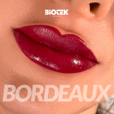Пигменты Biotek Bordeaux 15 мл