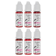 Etalon Mix Lip Set By Antonina Andrusenko 6x10ml - BVShop
