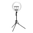 GLOW 18" bsc RGB ring lamp with 45W tripod - BVShop