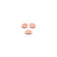 Set the dummy's head - BVShop