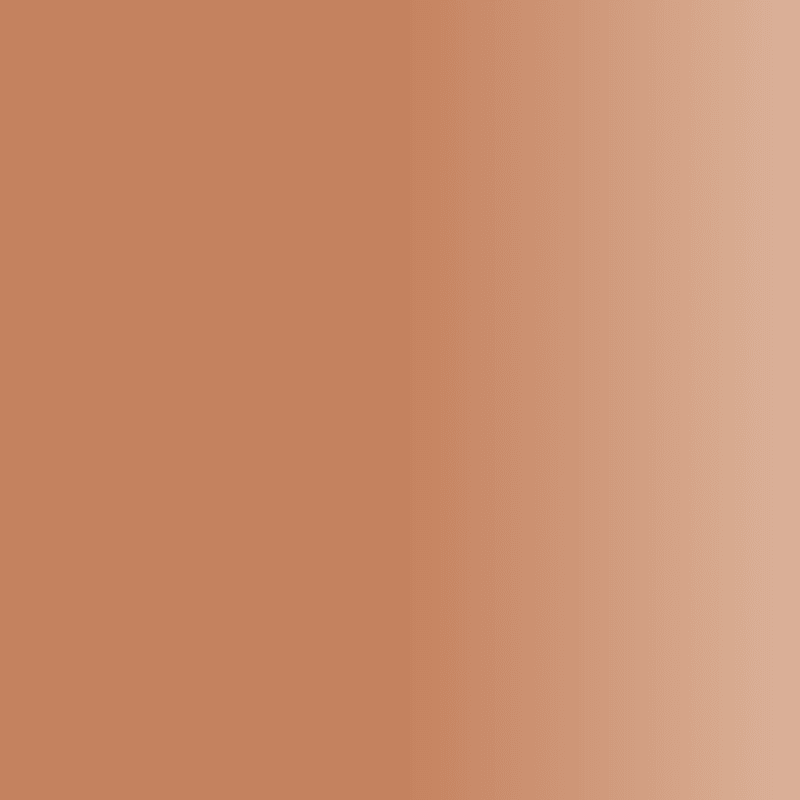 Swiss Color 407 Soft Terra Lip Pigment - BVShop