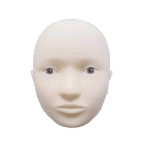 Swiss Color Doll Head Interchangeable Skin - BVShop