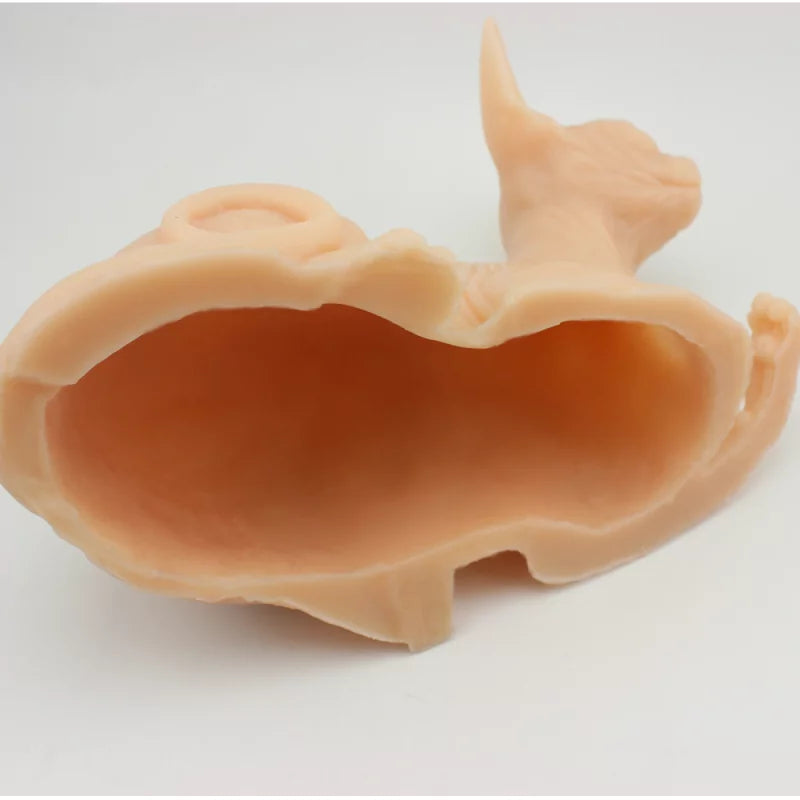 Tattooable Silicone Sphynx Cat - BVShop